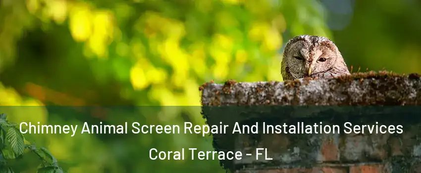  Chimney Animal Screen Repair And Installation Services Coral Terrace - FL