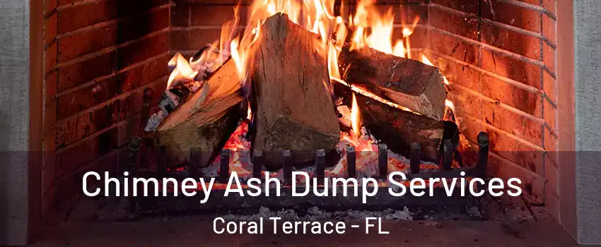  Chimney Ash Dump Services Coral Terrace - FL