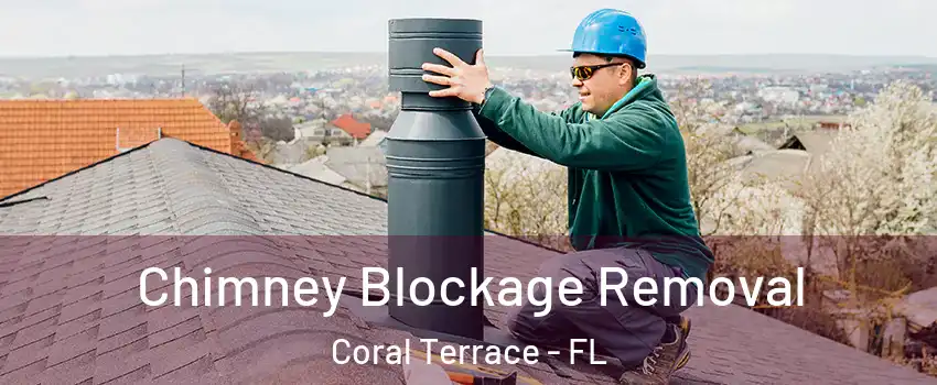 Chimney Blockage Removal Coral Terrace - FL