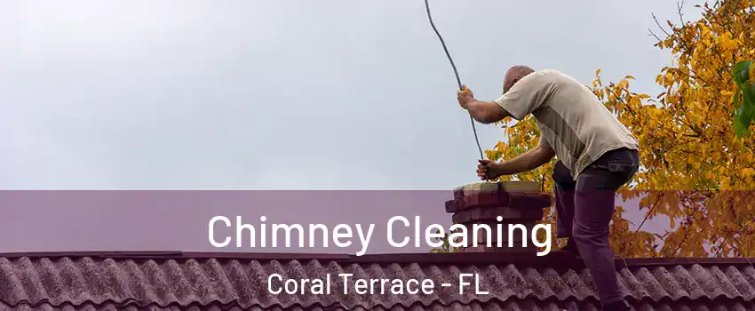  Chimney Cleaning Coral Terrace - FL