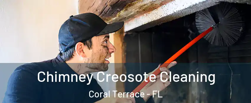  Chimney Creosote Cleaning Coral Terrace - FL