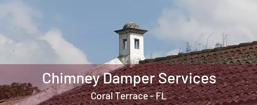  Chimney Damper Services Coral Terrace - FL