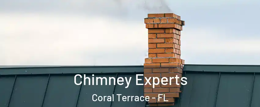  Chimney Experts Coral Terrace - FL
