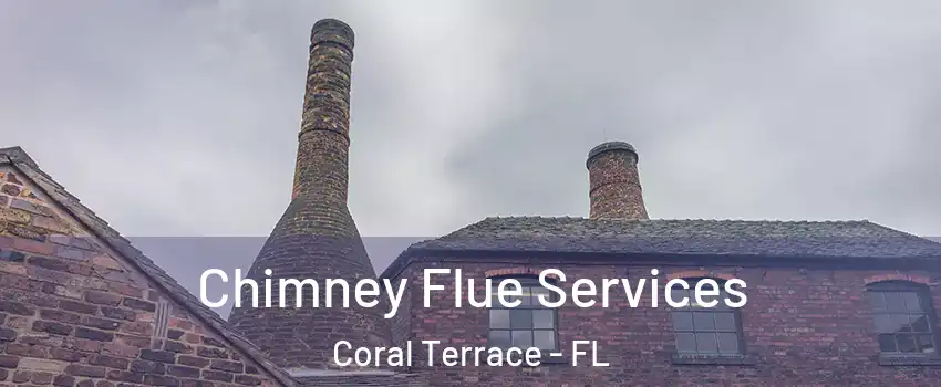  Chimney Flue Services Coral Terrace - FL