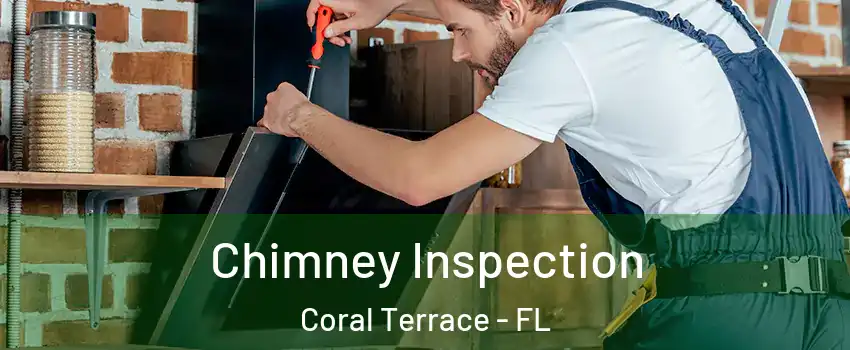  Chimney Inspection Coral Terrace - FL