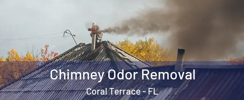  Chimney Odor Removal Coral Terrace - FL