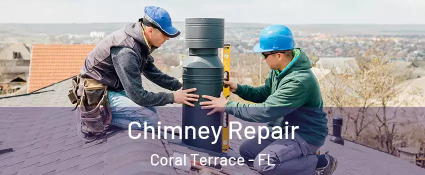  Chimney Repair Coral Terrace - FL
