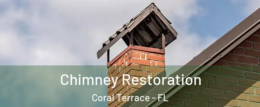  Chimney Restoration Coral Terrace - FL