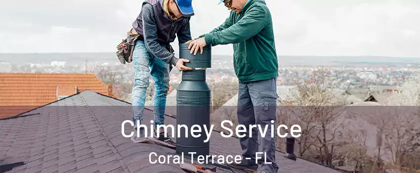  Chimney Service Coral Terrace - FL