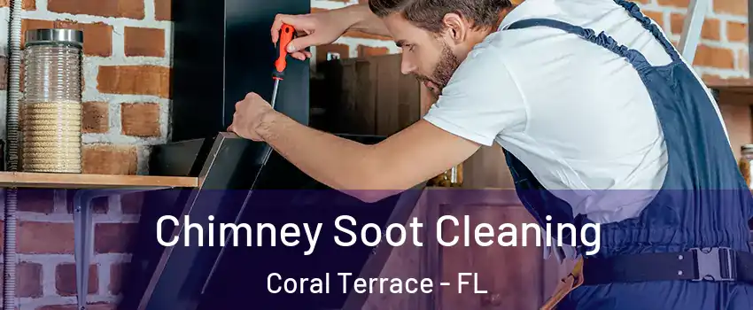  Chimney Soot Cleaning Coral Terrace - FL