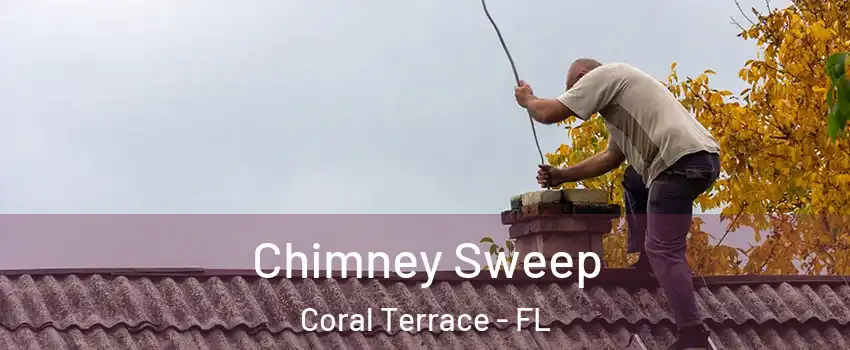  Chimney Sweep Coral Terrace - FL