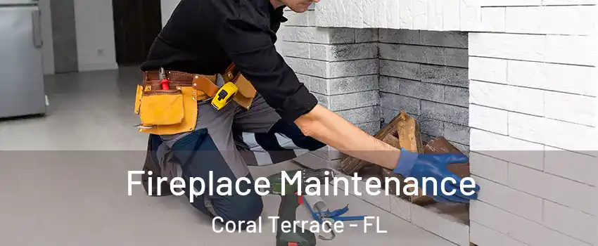  Fireplace Maintenance Coral Terrace - FL