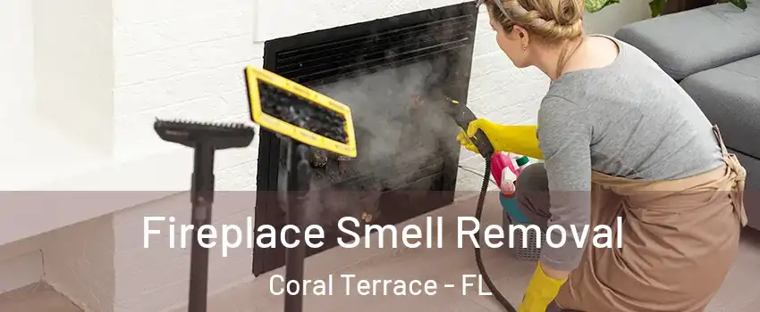  Fireplace Smell Removal Coral Terrace - FL