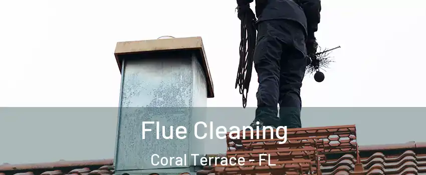  Flue Cleaning Coral Terrace - FL