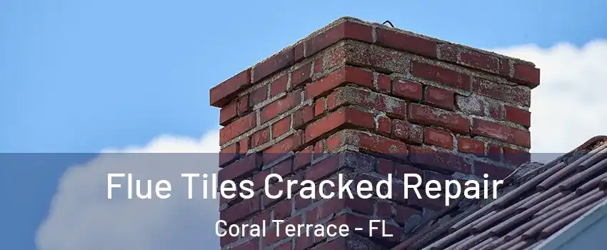  Flue Tiles Cracked Repair Coral Terrace - FL