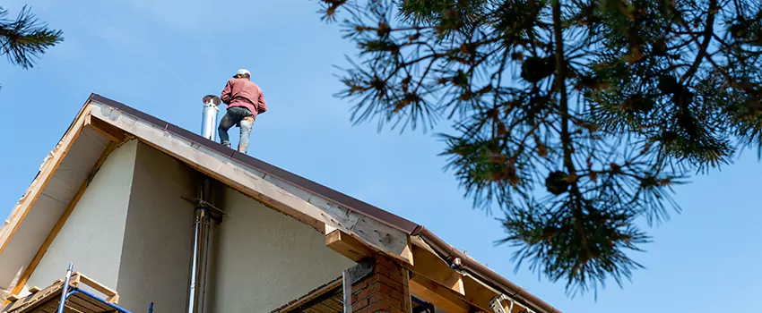 Birds Removal Contractors from Chimney in Coral Terrace, FL