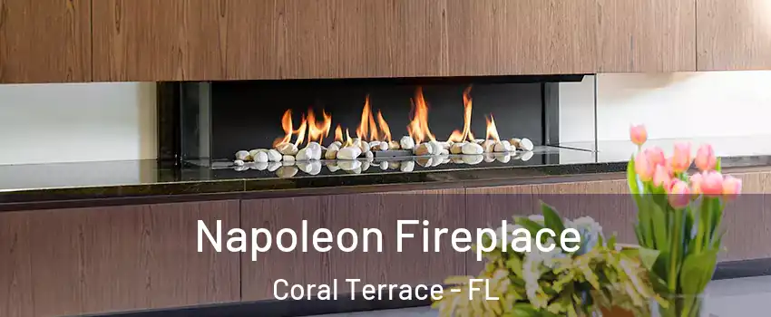  Napoleon Fireplace Coral Terrace - FL