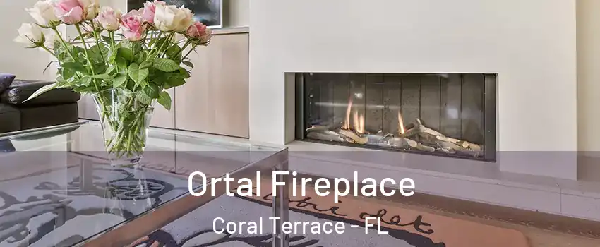 Ortal Fireplace Coral Terrace - FL