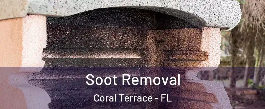  Soot Removal Coral Terrace - FL