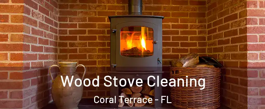  Wood Stove Cleaning Coral Terrace - FL